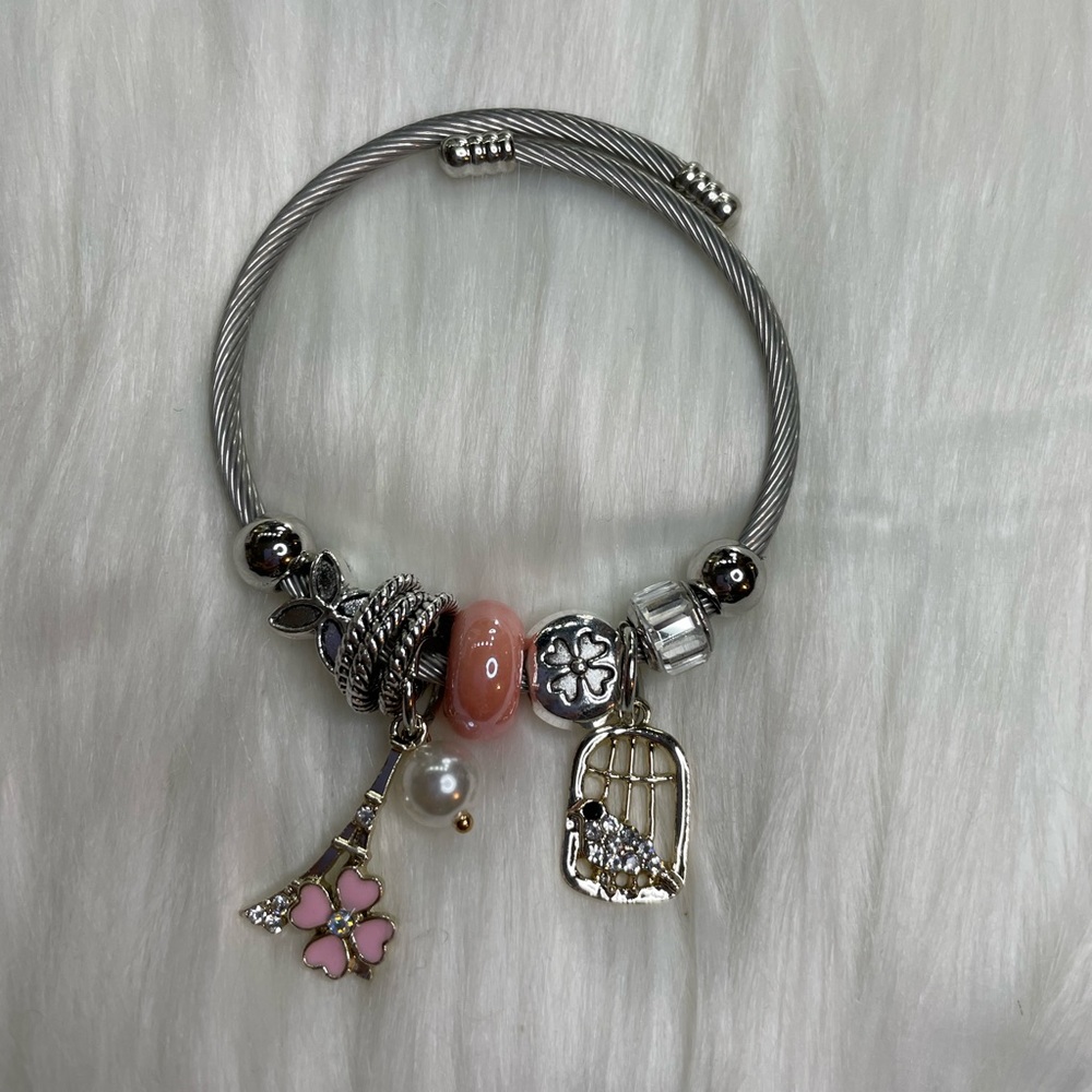 Fashion Bracelet Bird Cage + Eiffel tower charms
